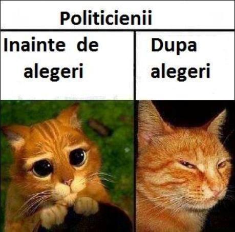 În campanie electorală