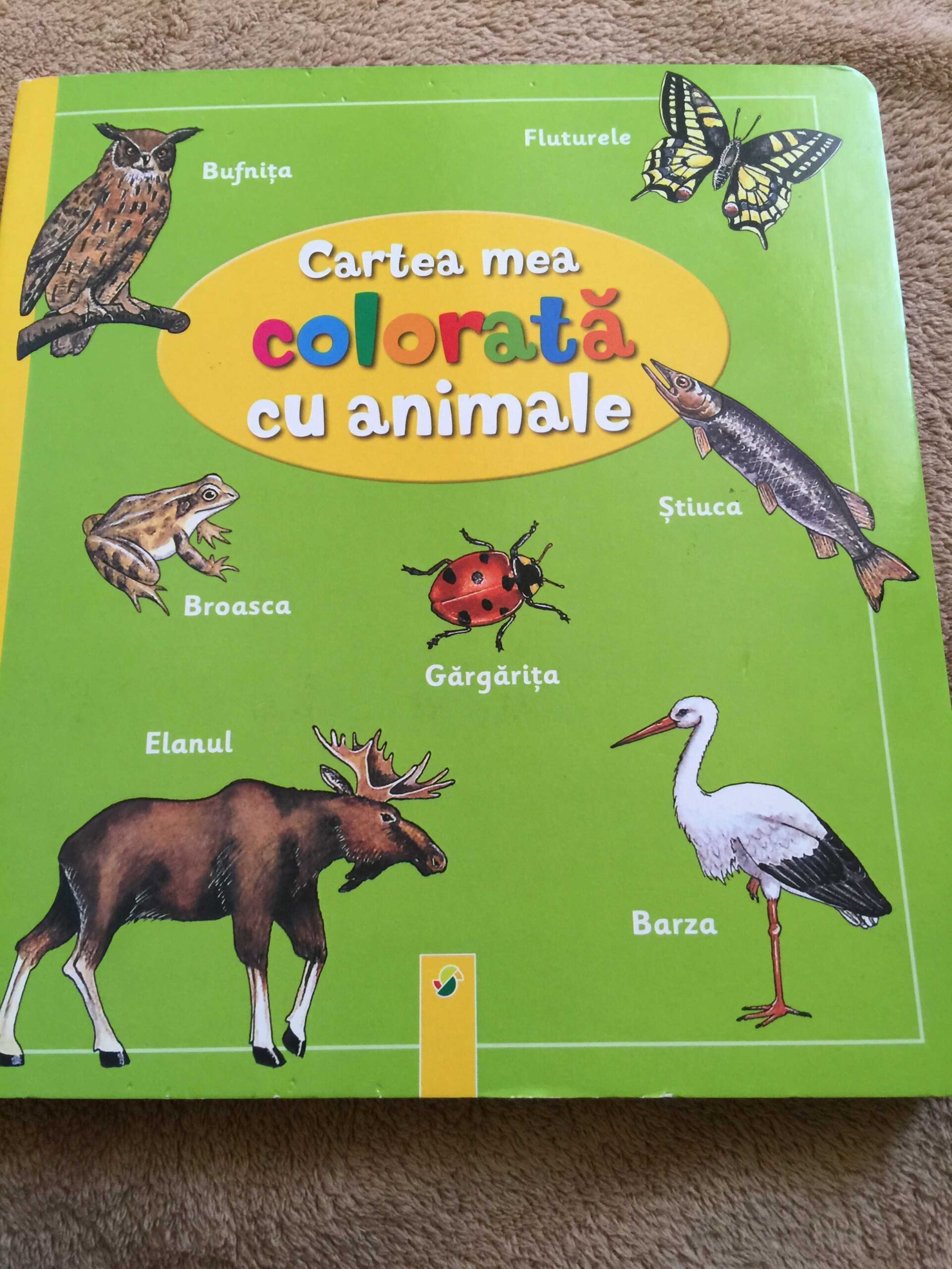 Carti montessoriene foarte dragi Mariei la aproape 3 ani
