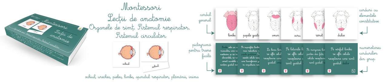 Doamne Doamne e un os? Sau un organ?