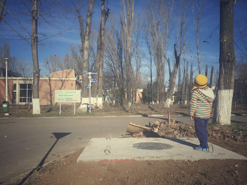 De unde atâta „Hai!”?