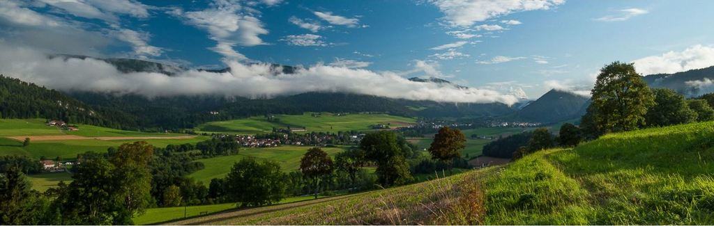 O noapte la ferma, in natura, in fan, in Elvetia