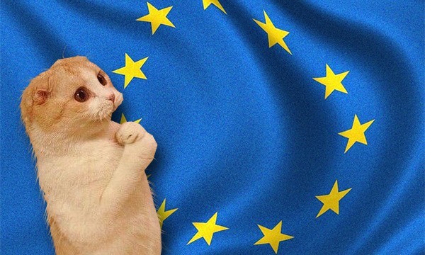 Pisici cu rime de Ziua Europei