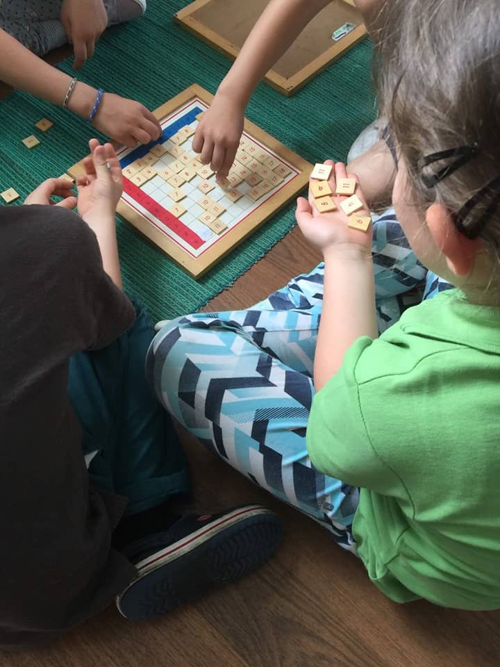 Jurnal de observare la școala Montessori